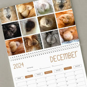 Funny Cat Calendar 2024, Funny Gift Cat Testicles, White Elephant Gifts Christmas New Year Funny present, cat owners housewarming. 1 1   