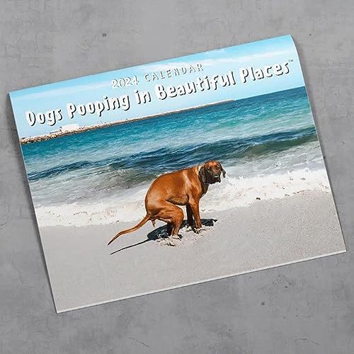 2024 Funny Dogs Calendar, Dog Pooping Wall Calendar, Christmas Funny Gift For Dogs Lovers, Dog Pooping In Beautiful Places Calendar, housewarming gift for dog owners. 1 1 Beach Dog  