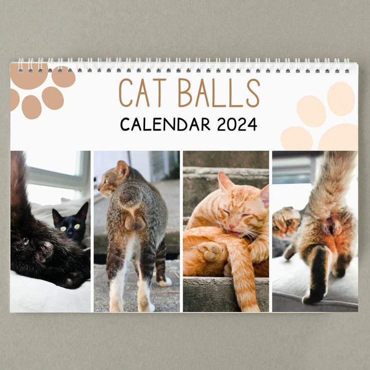 Funny Cat Calendar 2024, Funny Gift Cat Testicles, White Elephant Gifts Christmas New Year Funny present, cat owners housewarming. 1 1 Cat Calendar  