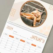 Funny Cat Calendar 2024, Funny Gift Cat Testicles, White Elephant Gifts Christmas New Year Funny present, cat owners housewarming. 1 1   