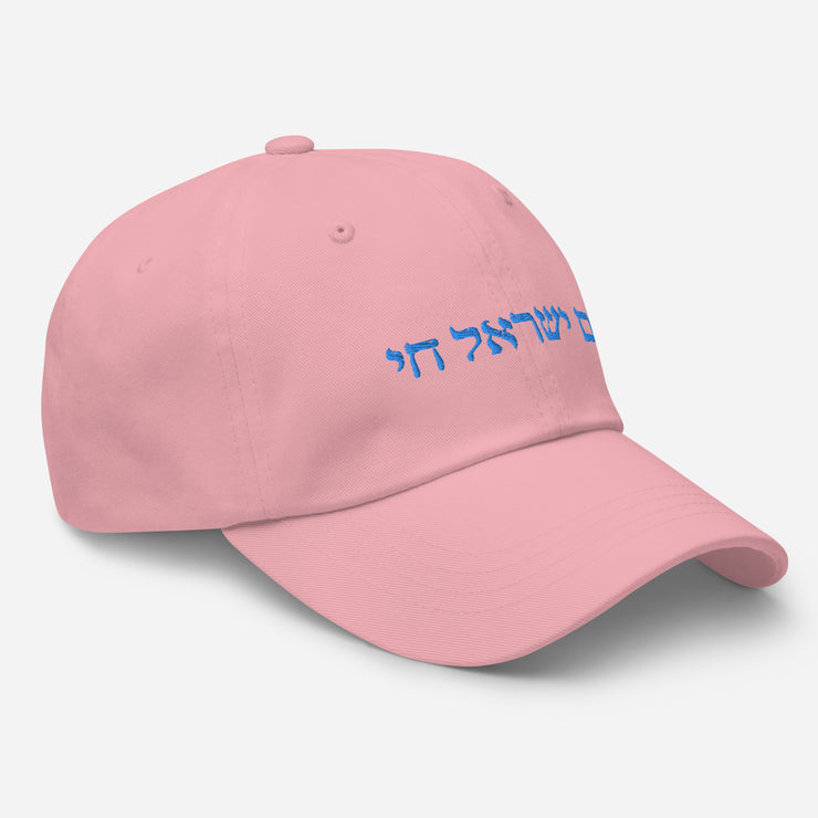 Am Yisrael Chai Unisex Dad hat, I Support Israel Cap Hat, Hebrew Quote, Jewish Pride, Jewish hat Gift, The people of Israel live  Love Your Mom   